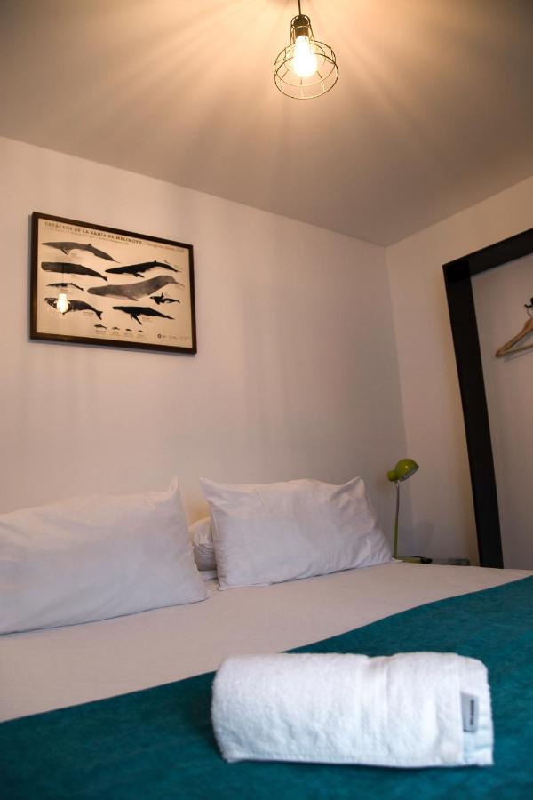 Hostal Boutique Terra Antarctica Punta Arenas Esterno foto
