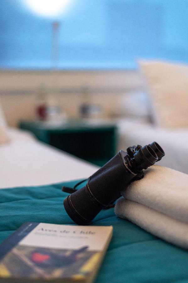 Hostal Boutique Terra Antarctica Punta Arenas Esterno foto