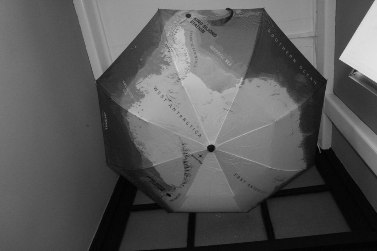 Hostal Boutique Terra Antarctica Punta Arenas Esterno foto